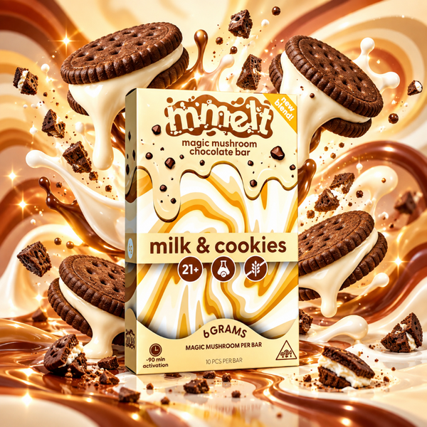 How to Buy Bulk Mushroom Chocolates Online in the USA