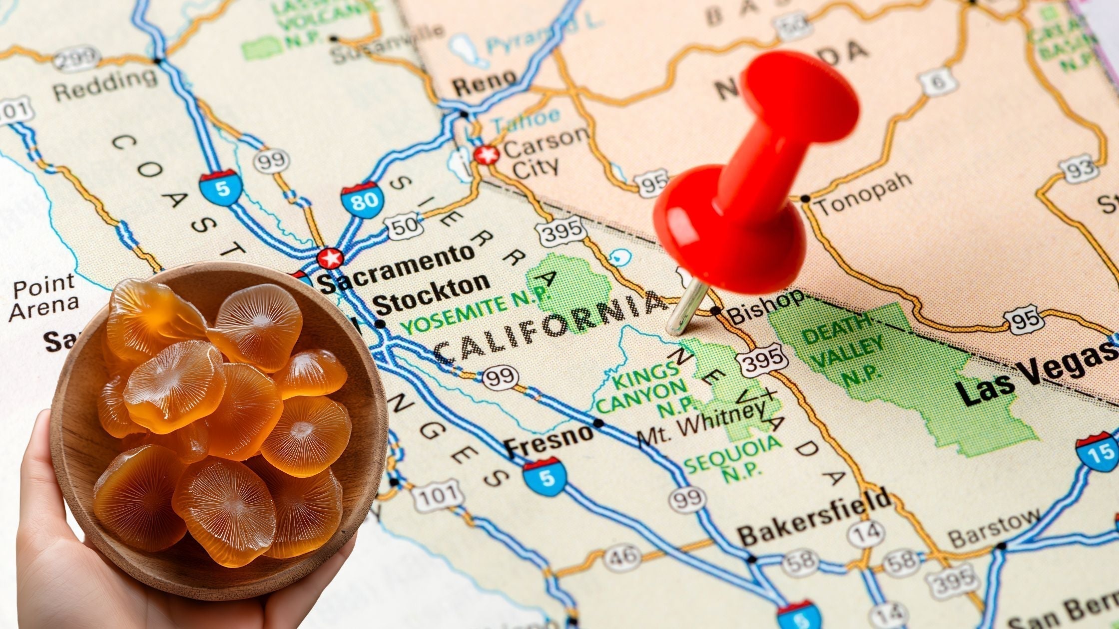are mushroom gummies legal in california