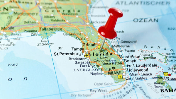 Are Mushroom Gummies Legal in Florida?