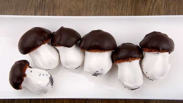 How to Store Mushroom Chocolates and What is its Self Life? Ultimate Guide