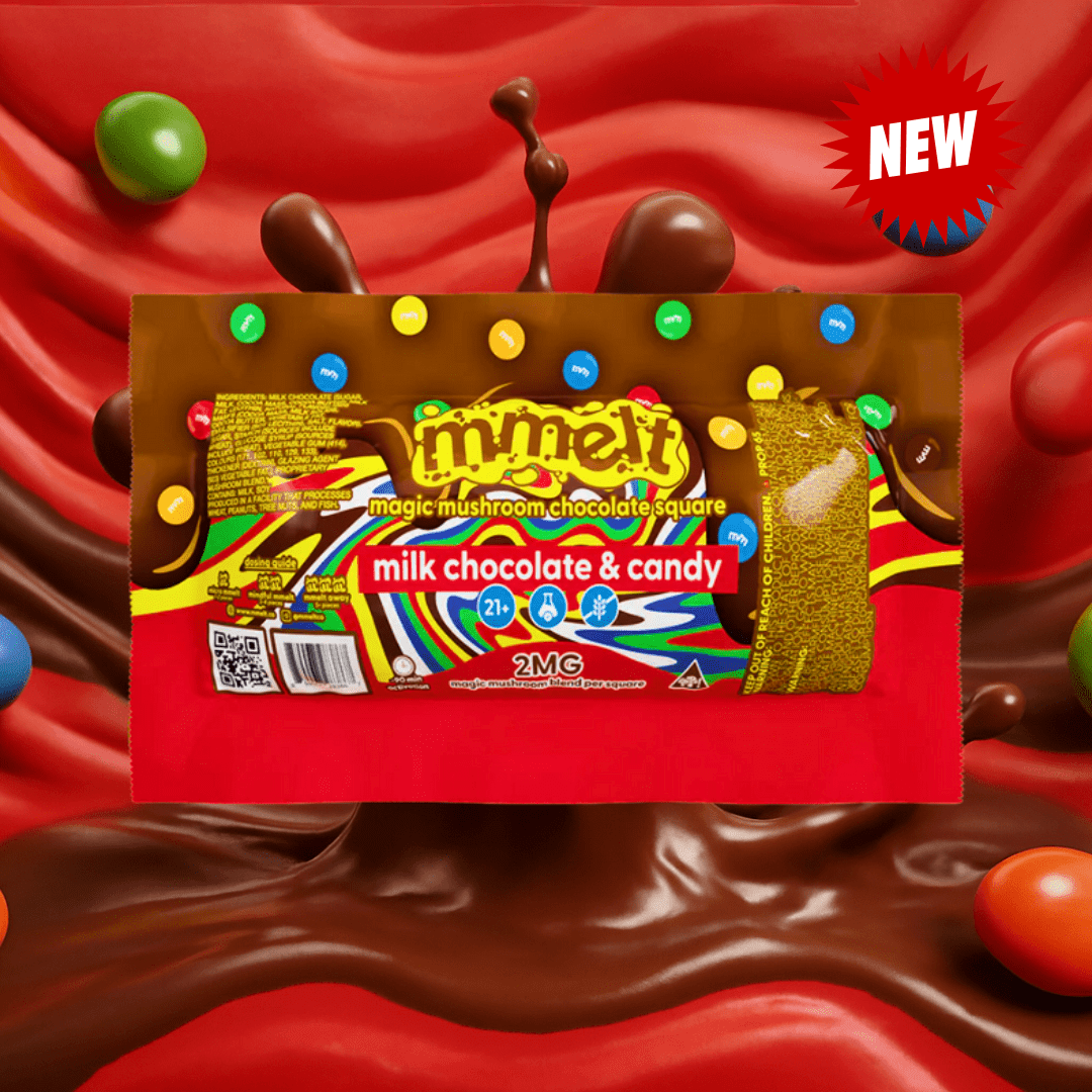 Mushroom Chocolates